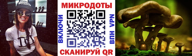 Галлюциногенные грибы прущие грибы  Красновишерск 